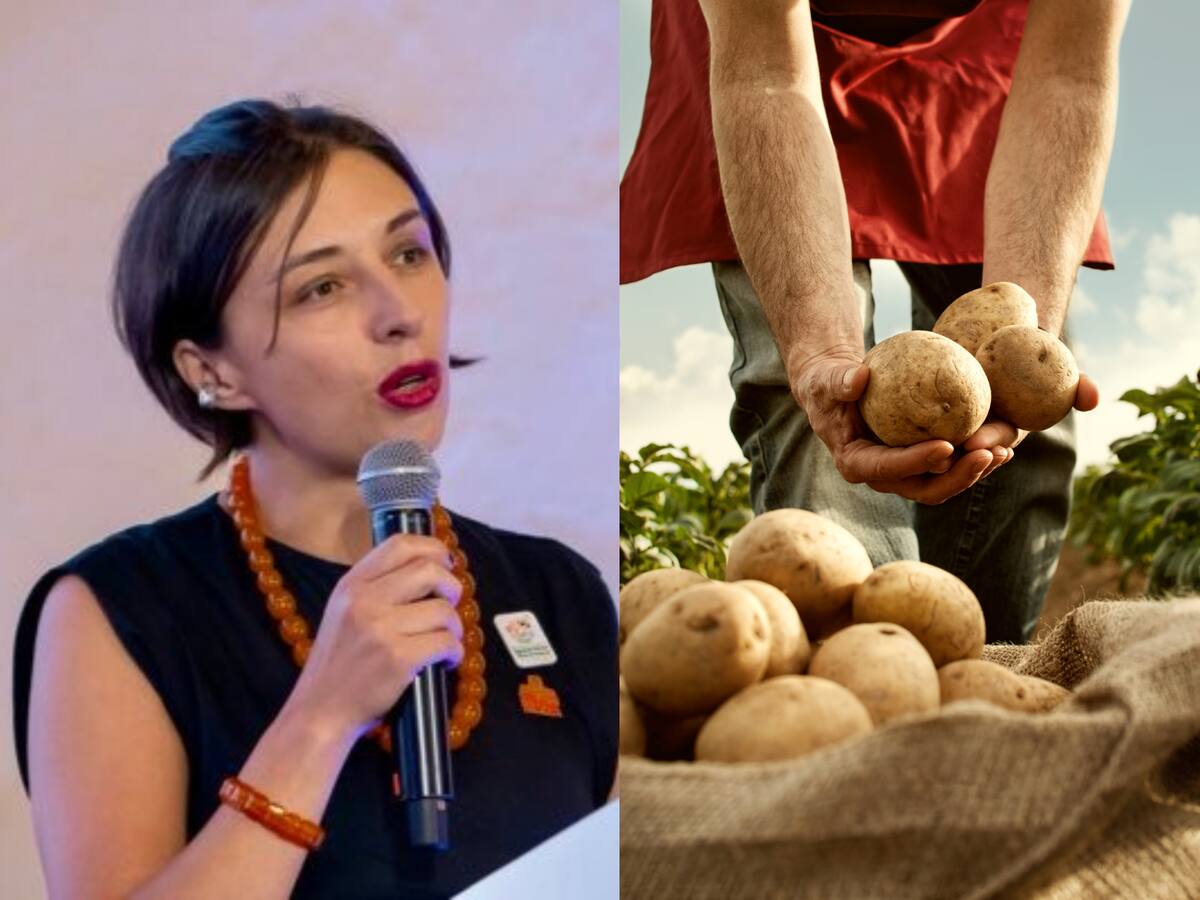 Paperos de Nariño piden soluciones ante bajos precios y pocas ventas: MinAgricultura responde