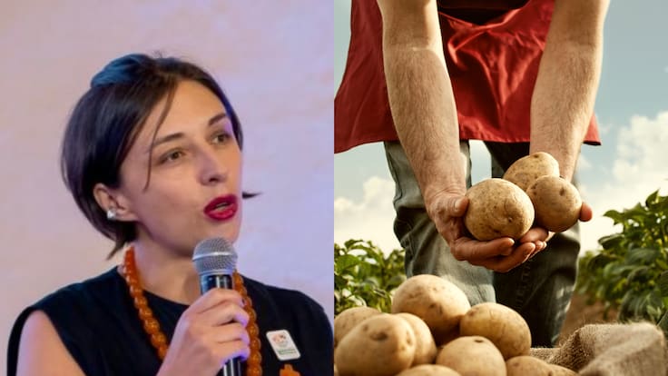 Paperos de Nariño piden soluciones ante bajos precios y pocas ventas: MinAgricultura responde