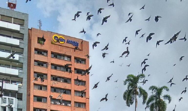 Parque Murillo Toro Ibaguè