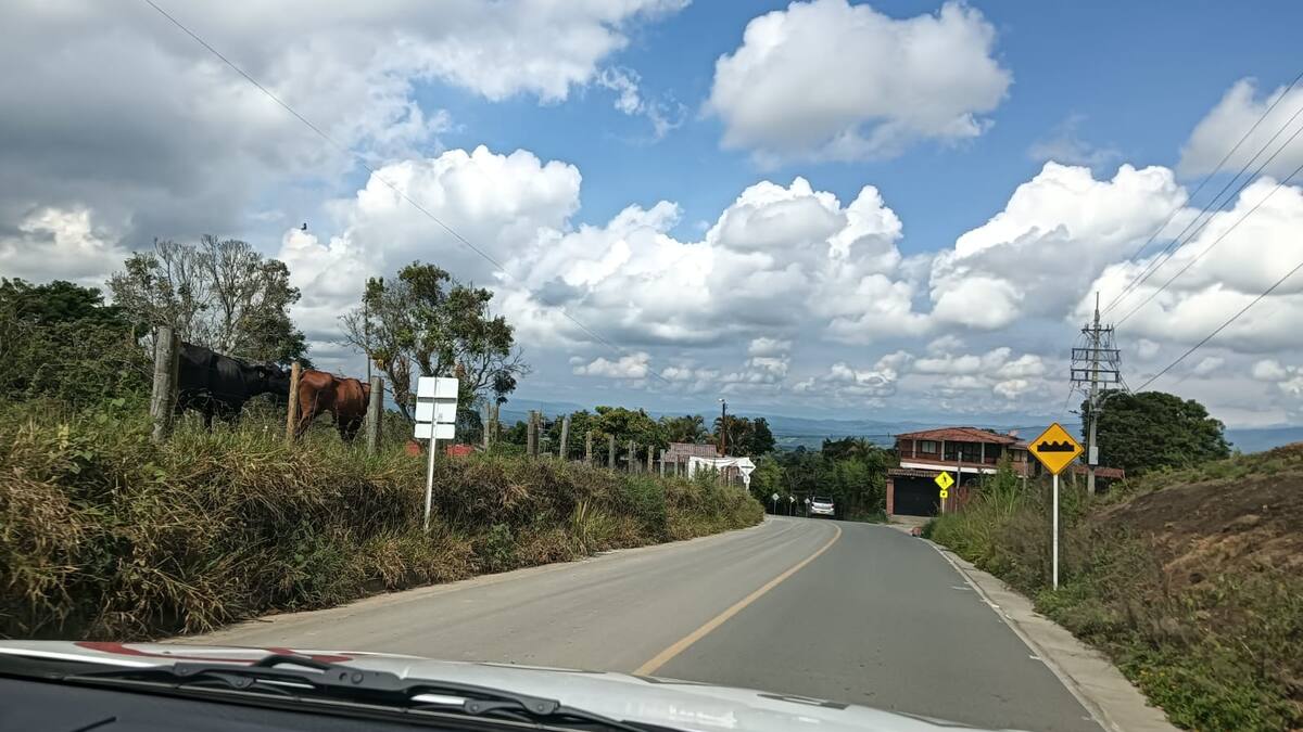 Jueves 21 de agosto, las noticias más importantes de Armenia y Quindío