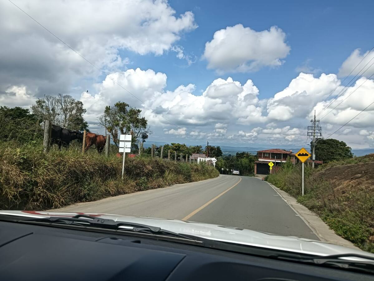 Jueves 21 de agosto, las noticias más importantes de Armenia y Quindío