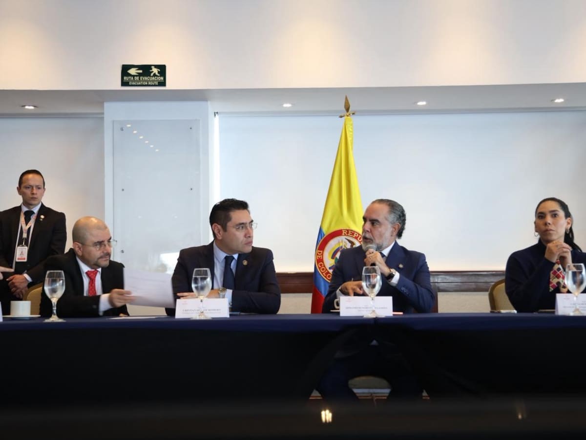 Elecciones presidenciales: MOE advierte por desinformación de algunos trinos del presidente Petro