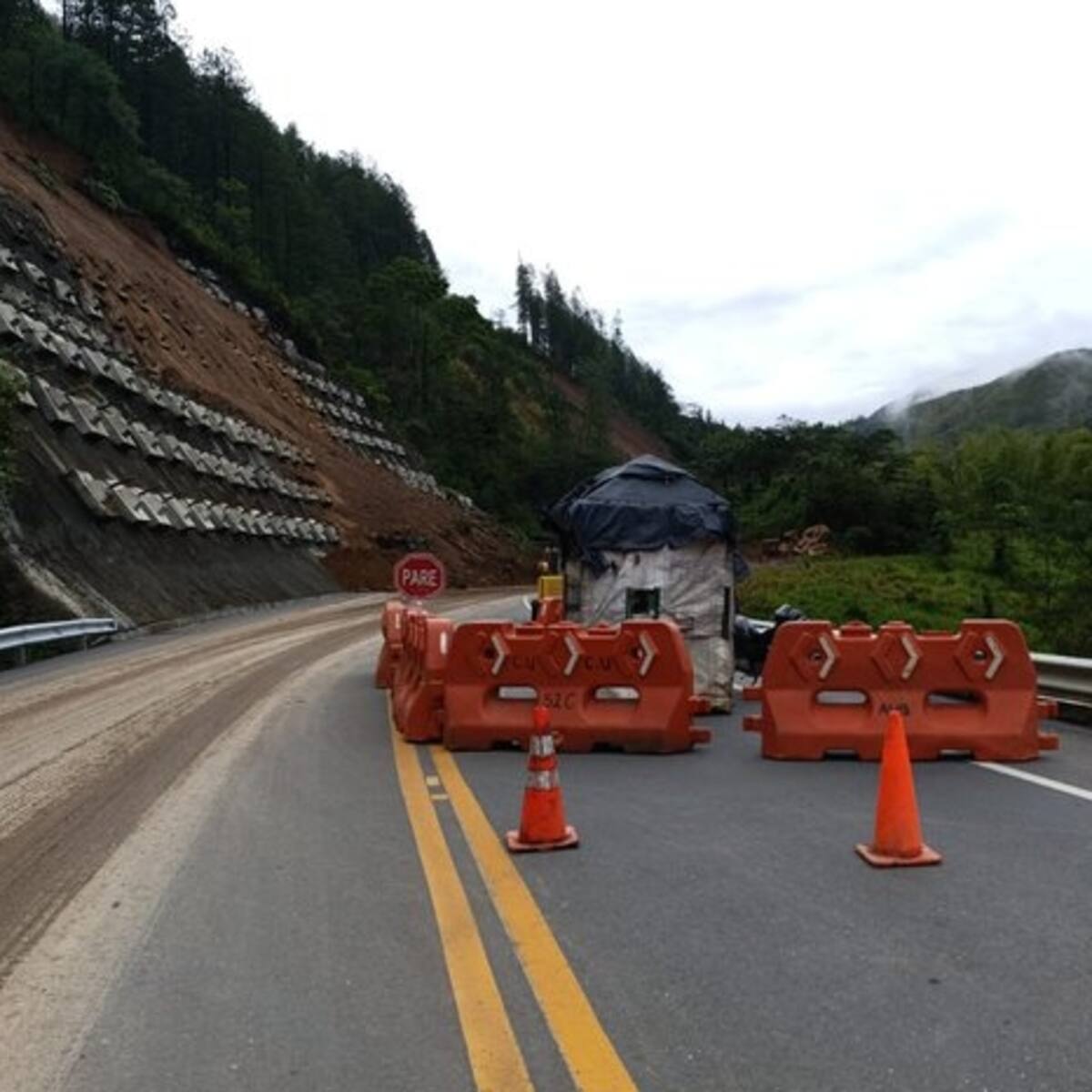 La caída de un árbol en la vía Cañasgordas Uramita dejó tres heridos, uno con alguna gravedad