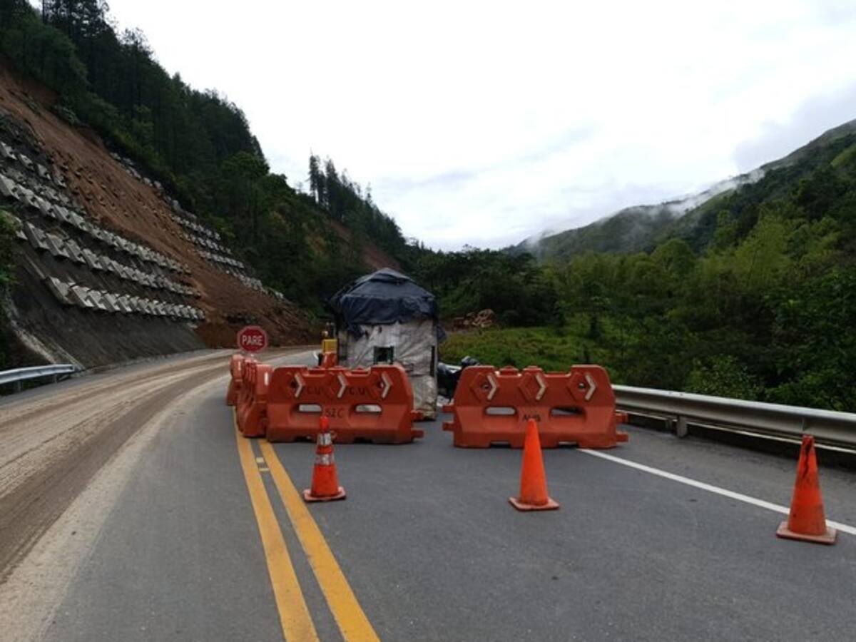La caída de un árbol en la vía Cañasgordas Uramita dejó tres heridos, uno con alguna gravedad