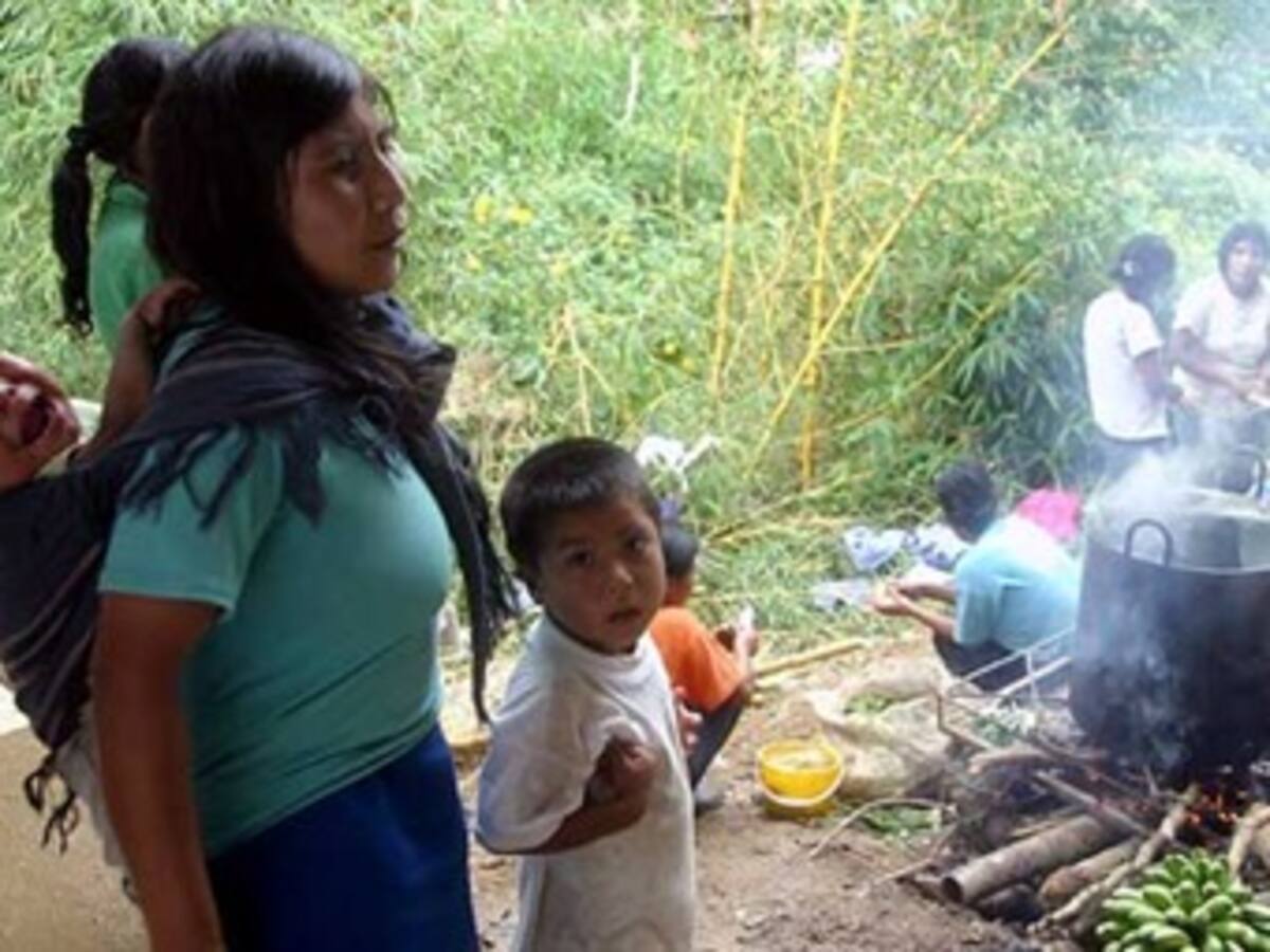 Comunidad indígena AWA de Ricaurte celebra el día del campesino