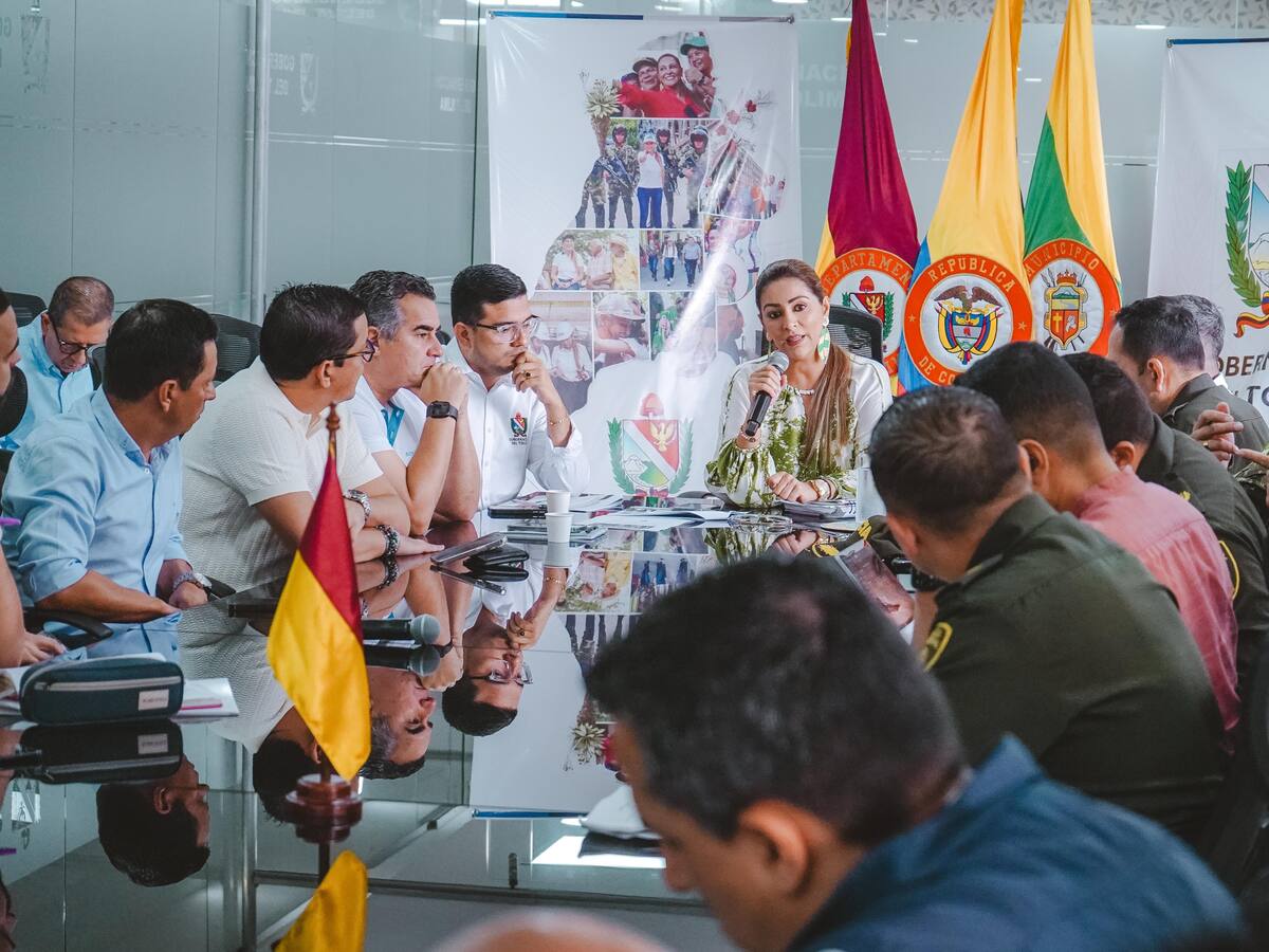 Tras amenazas piden estudio de seguridad para los diputados del Tolima