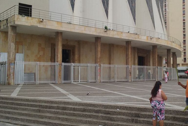 La palma decomisada será incinerada, actividad que realizará una empresa autorizada para tal fin.