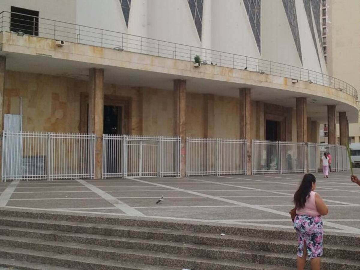 Operativos contra comercio de palma de cera