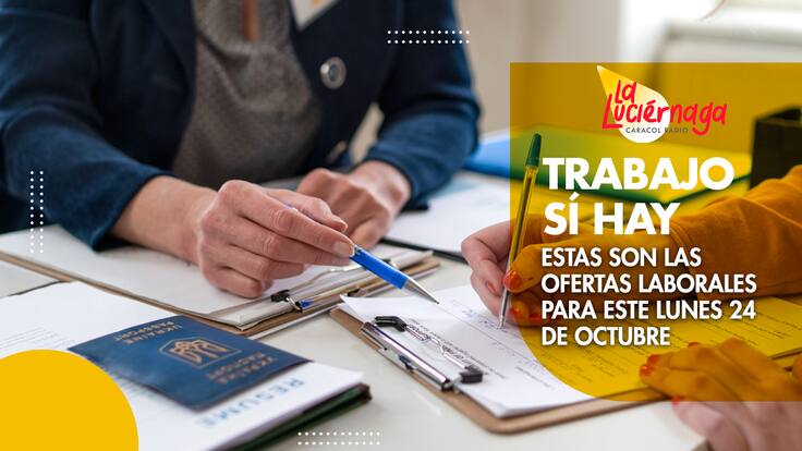 Trabajo sí hay: USAID Colombia está buscando especialista en Gestión de Proyectos