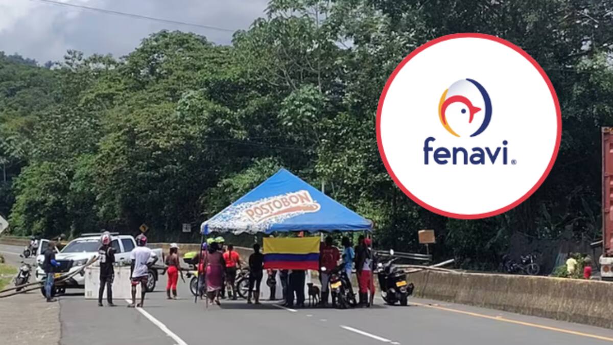 Fenavi alerta que bloqueos en Buenaventura dispararon hasta en 240% los costos logísticos