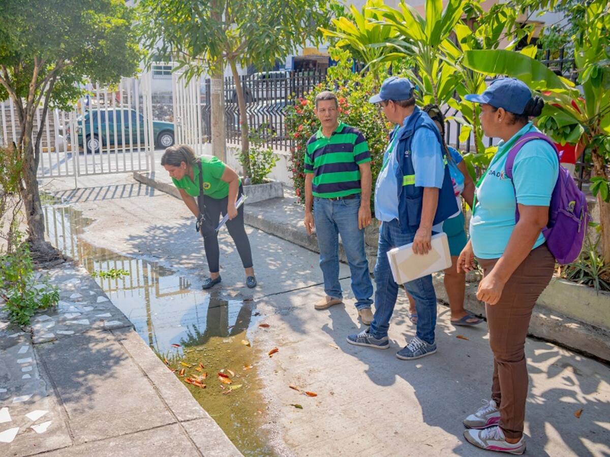 Cartagena presenta disminución del 20% en el número de casos de dengue