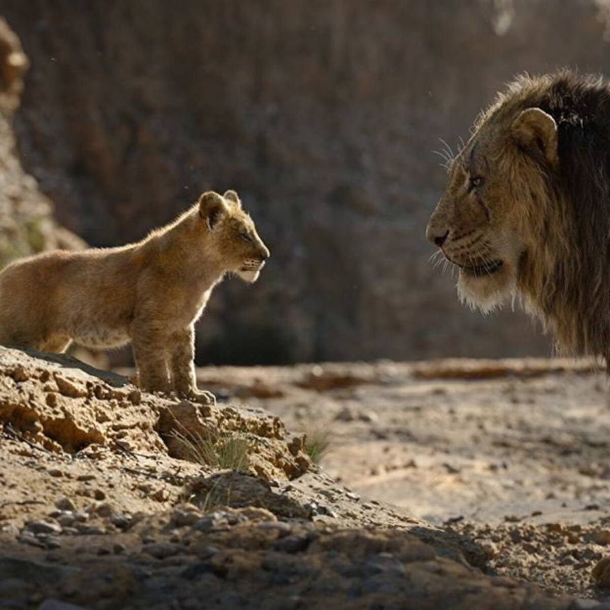 El Rey León: Disney pone en marcha la secuela