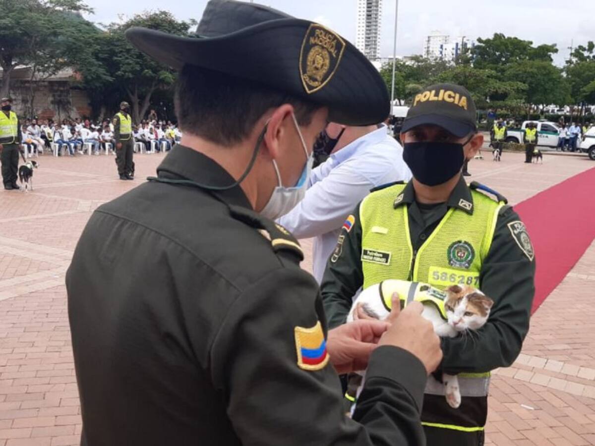 Rinden homenaje a perros y gatos al servicio de la Policía en Cartagena