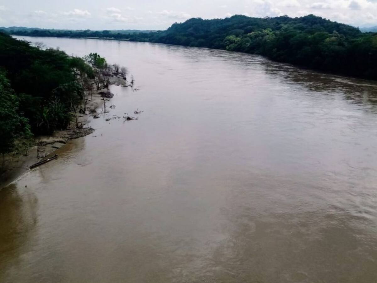 Programas de investigación para la comunidad del Magdalena Centro