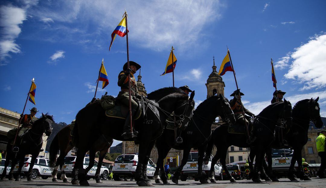 Proyecto de ley prohibiría a Fuerza Pública usar animales durante protestas
