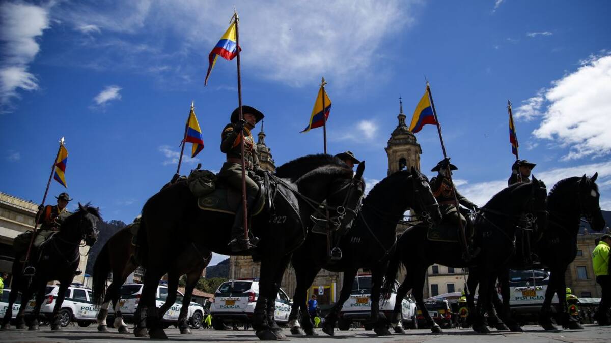 Proyecto de ley prohibiría a Fuerza Pública usar animales durante protestas