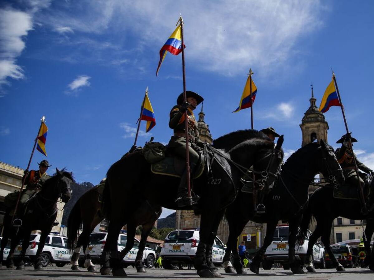 Proyecto de ley prohibiría a Fuerza Pública usar animales durante protestas
