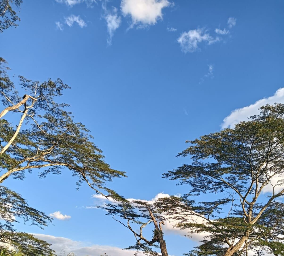 Días de cielo azul y altas temperaturas en Armenia y Quindío. Foto: Adrián Trejos