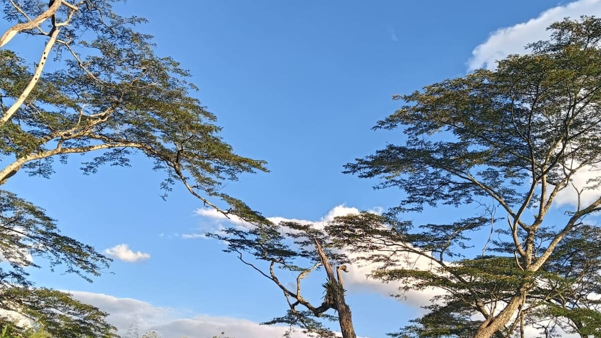 Miércoles 9 de septiembre, las noticias más importantes de Armenia y Quindío