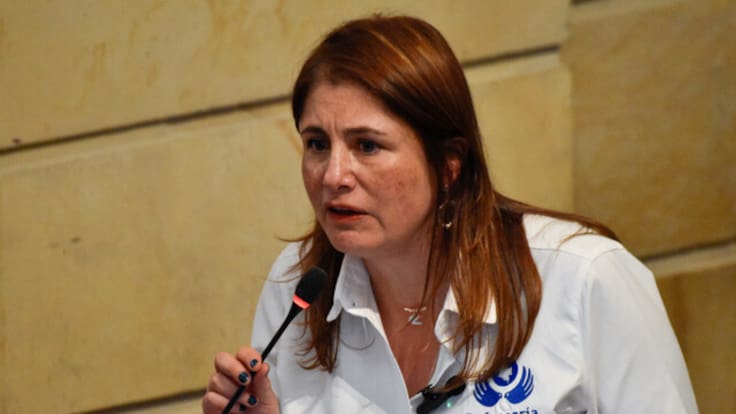 “Lamento la respuesta del presidente Petro”: Defensora del Pueblo sobre la negativa de suspender bombardeos