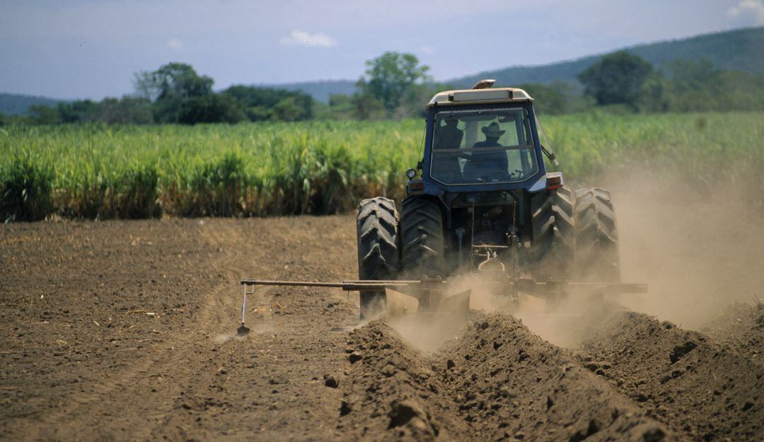 imagen de referencia