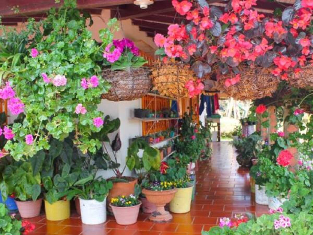 Santa Elena se alista para las visitas del tour silletero