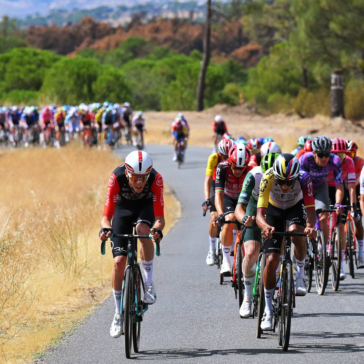 Tour de Francia 2026: ¿Qué corredores colombianos participarán en la carrera? Equipos confirmados