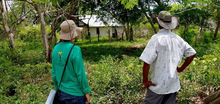 Imagen de referencia