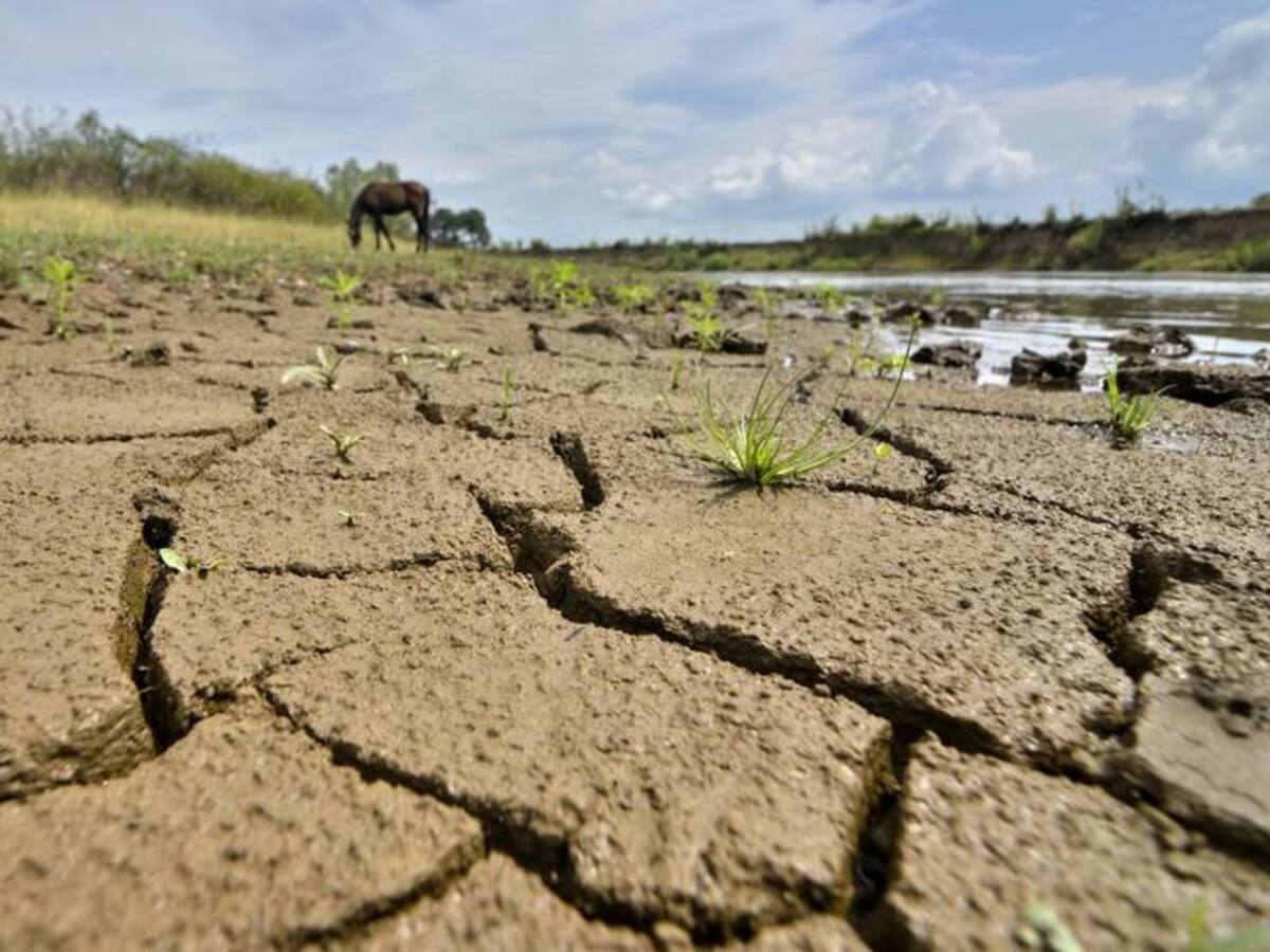 Fenómeno El Niño tiene afectados más de 200 acueductos comunitarios en Risaralda