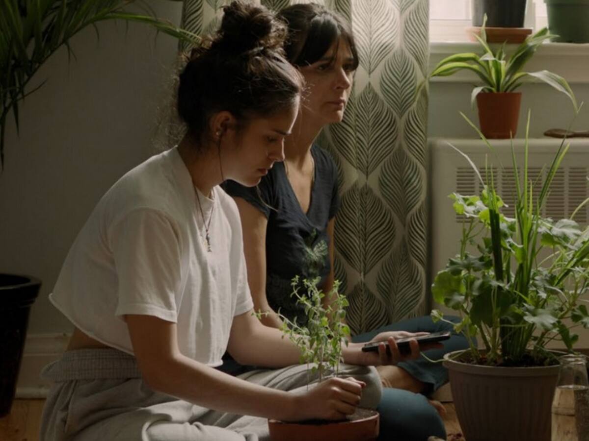 La película dramática Colombo-canadiense ‘Herida abierta’ se estrena en salas alternativas