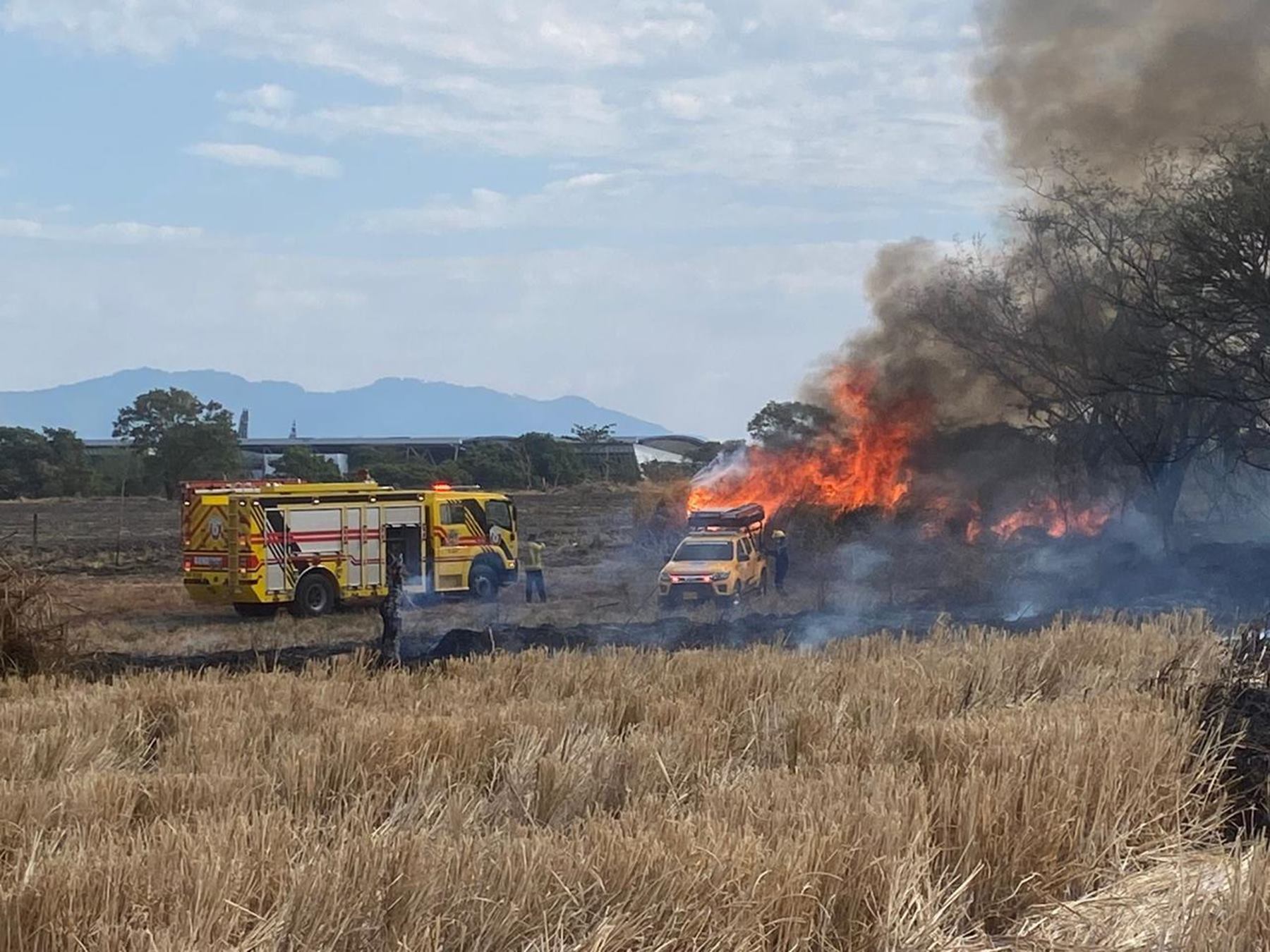 Incendio forestal en Ibagué