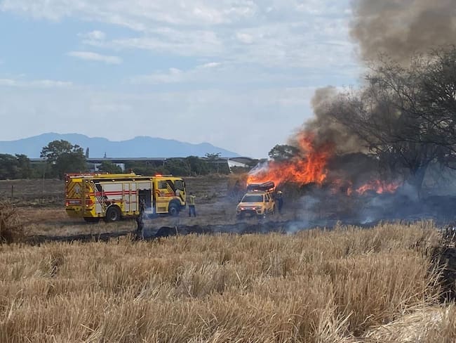 Incendio forestal en Ibagué
