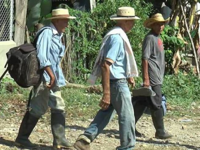 El narcotráfico incita la violencia y el desplazamiento en el bajo Cauca