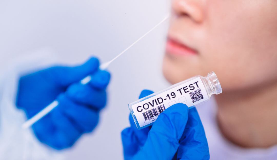 Imagen de referencia