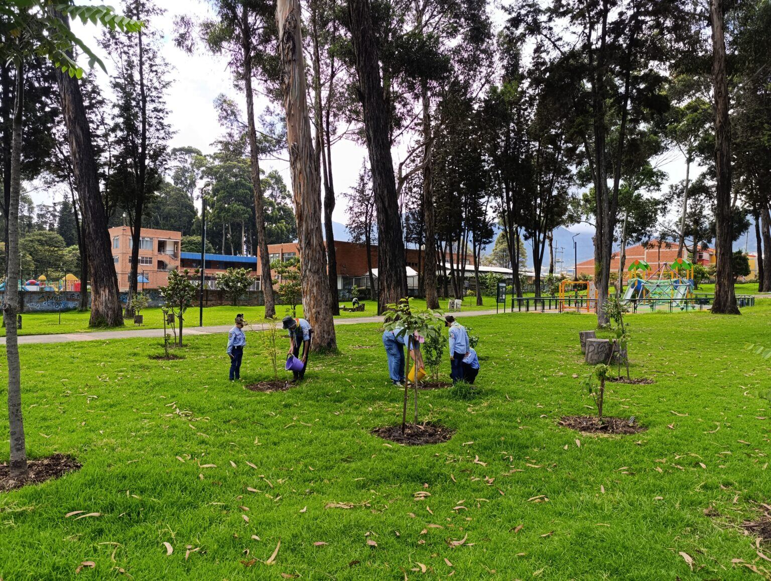 Bosque de San Carlos en Bogotá. Foto: Jardín Botánico
