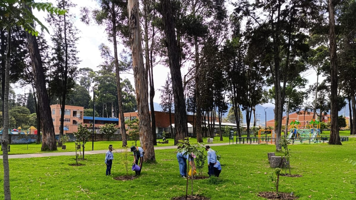 El Jardín Botánico volvió a plantar 31 árboles y arbustos en el bosque urbano de San Carlos