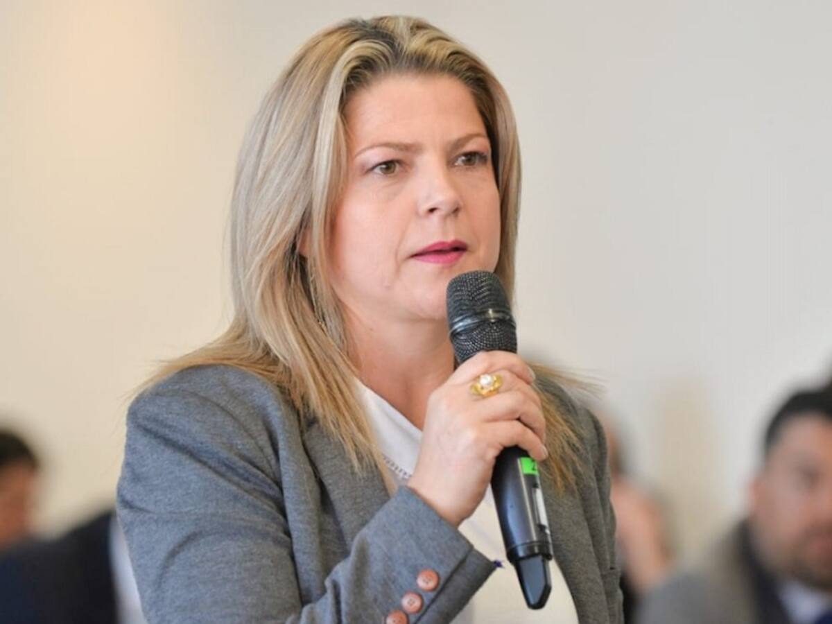 Cinco mil toneladas de comida han vendido los campesinos del Tolima