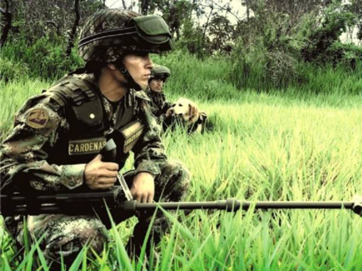 El Ejército iniciará trabajos de desminado en tres municipios del Eje