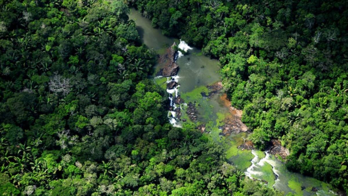 Desde Boyacá piden libertad de biólogo del MinAmbiente retenido en Caquetá