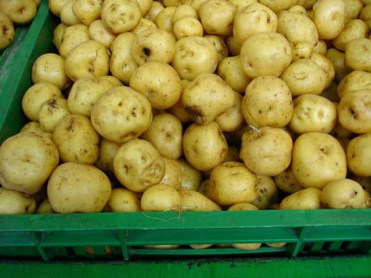 Sube precios de la comida por minga indígena y bloqueos en carreteras del Cauca