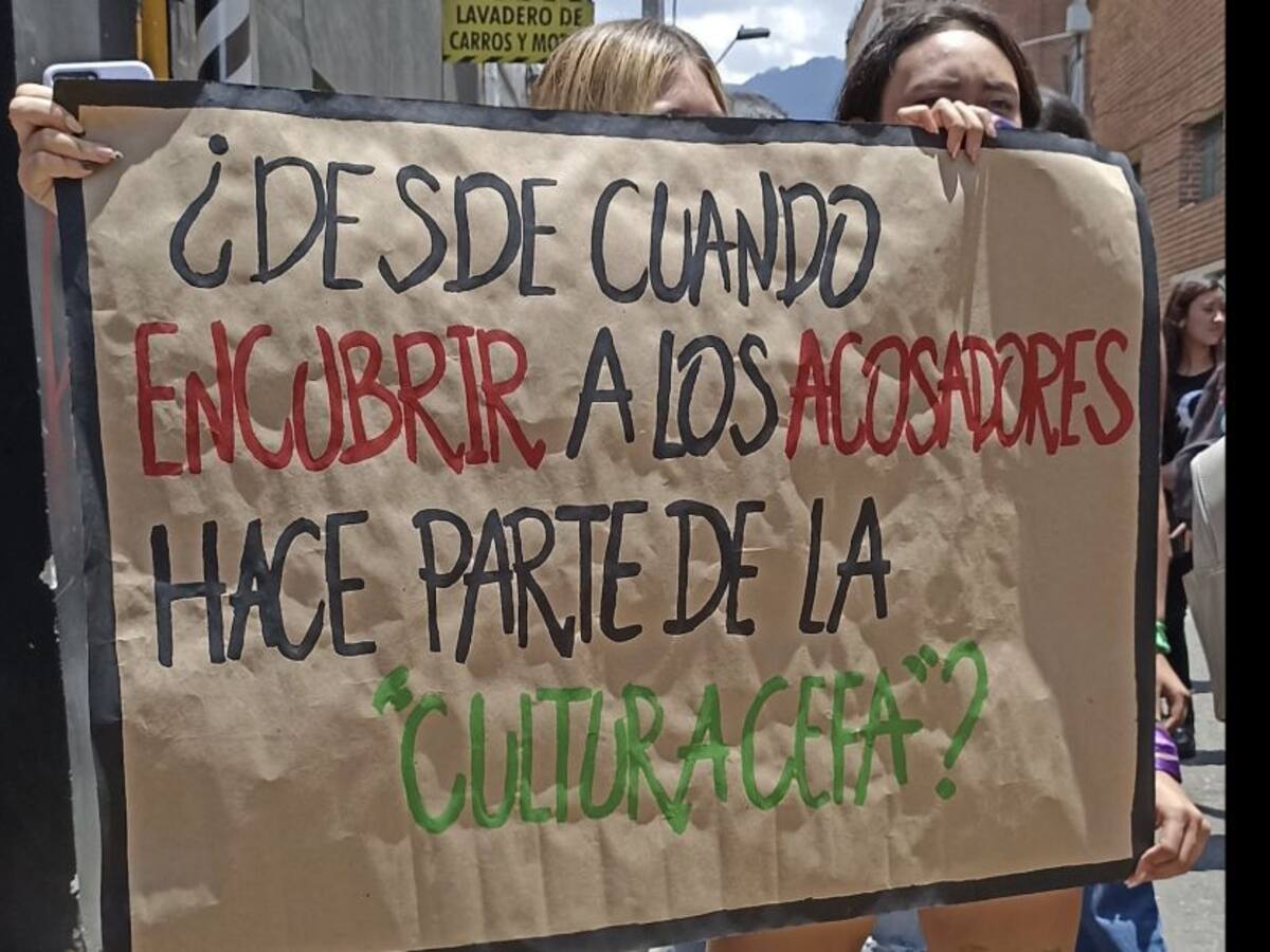 “Secretaría de Educación está siendo omisiva con casos de abuso”: concejala