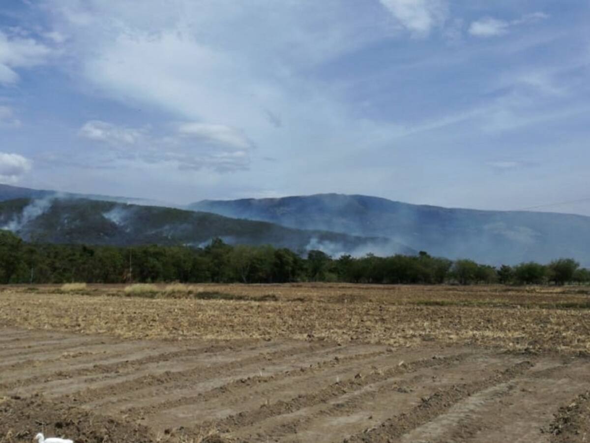 Incendio forestal en el municipio de El Zulia