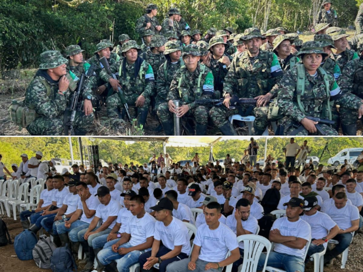 Así fue la dejación de armas de 100 hombres de la Coordinadora Nacional en Putumayo