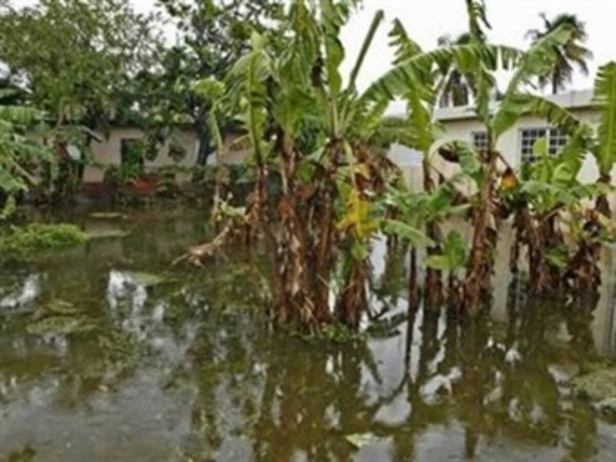 El invierno está afectando las exportaciones: Dian