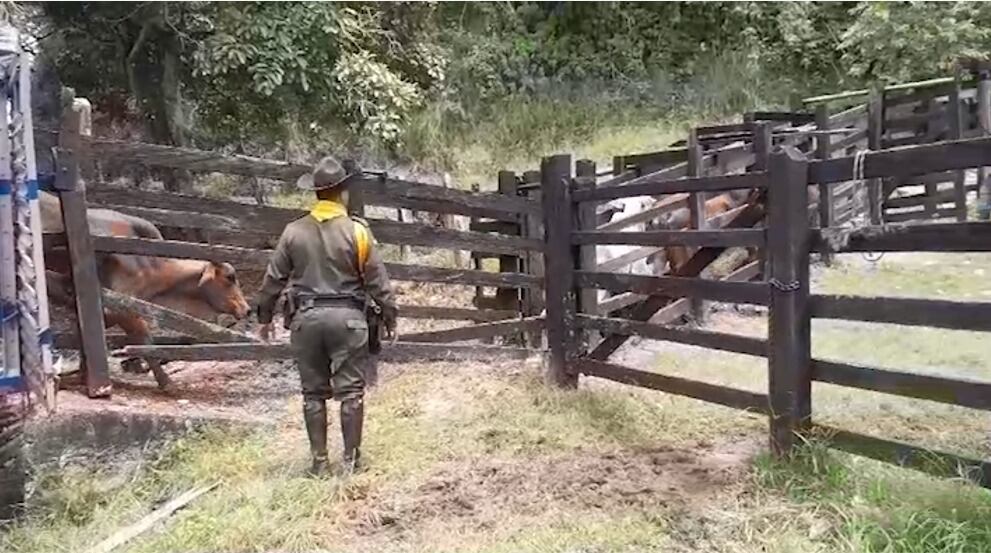 Serían 5 mil hectáreas que componen 5 fincas. Foto: Ilustración.