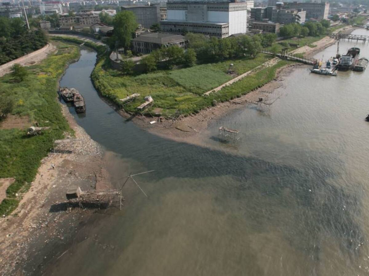 Todos los ríos del mundo estarían contaminados con fármacos