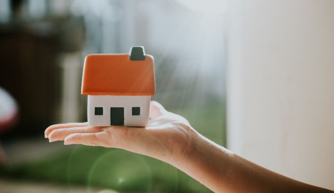 Imagen de referencia