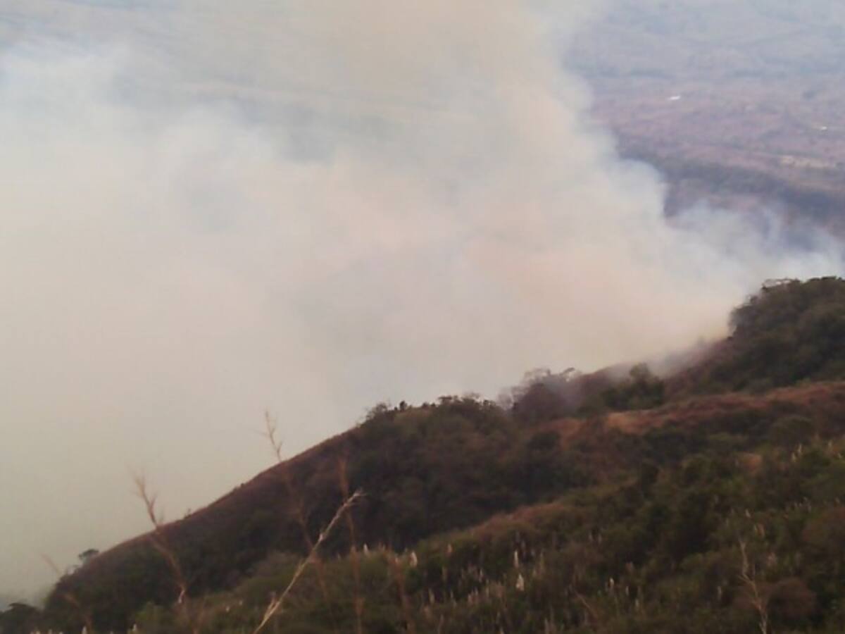 Solicitan apoyo aéreo para controlar incendio forestal en límites de Caldas con Antioquia