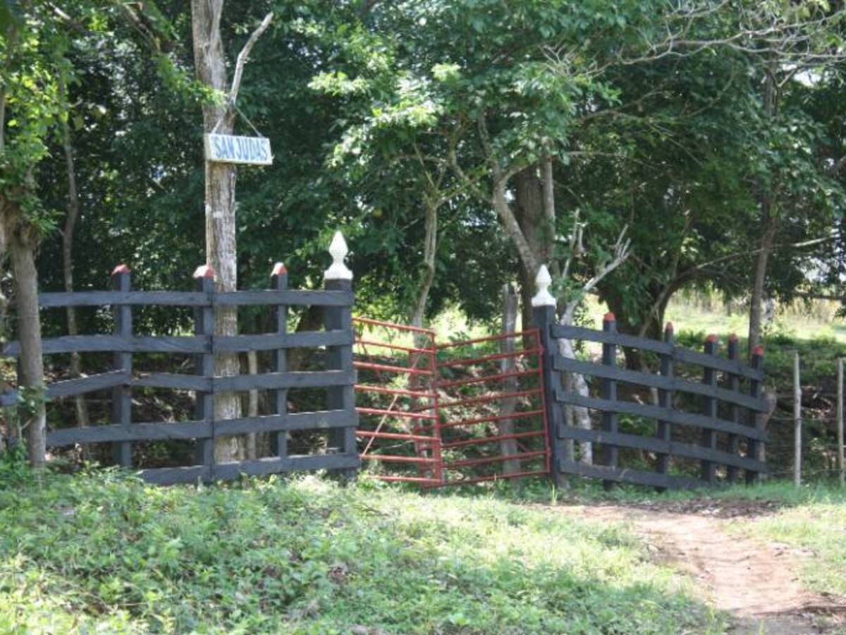 Once años de prisión por robar en una finca de Bolívar