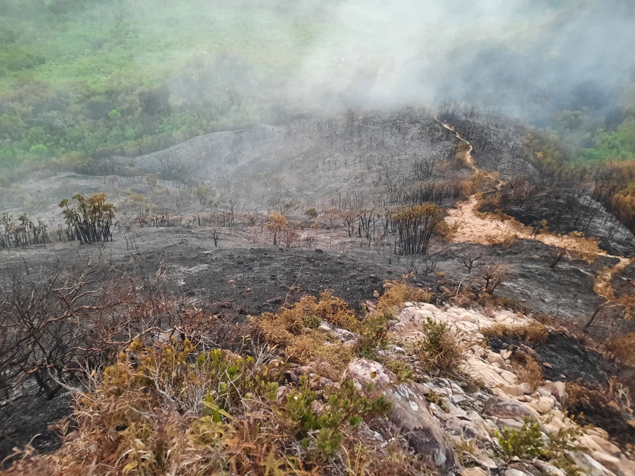 Incendio Providencia./ Foto: Cuerpo de Bomberos